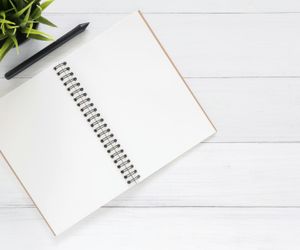 Green plant on a desk